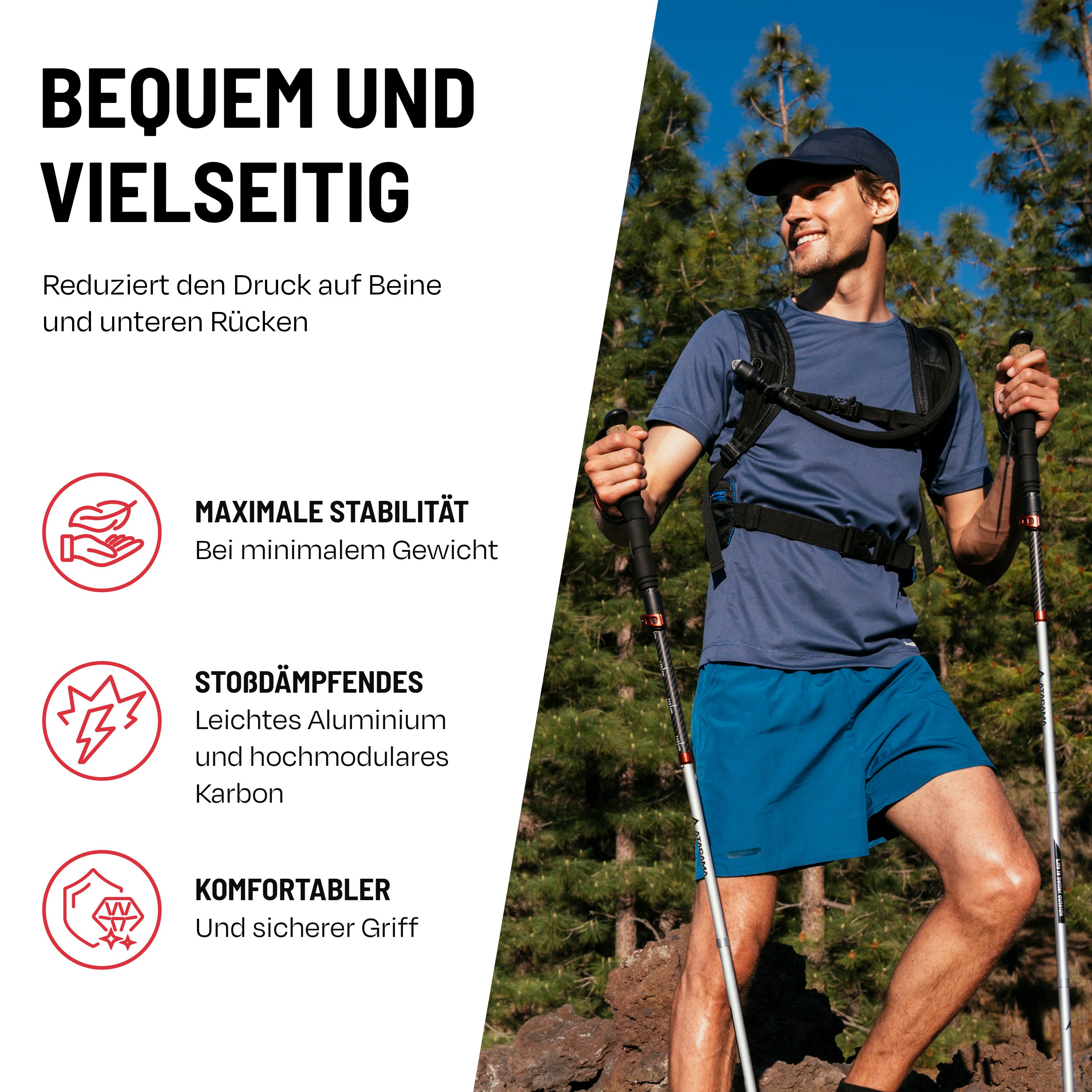 Folding nordic walking sales sticks